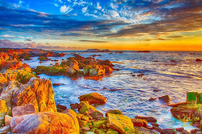 Self Guided Driving Audio Tour of 17 Mile Drive Monterey - Bird Rock Vista Point: begin with wildlife and open water