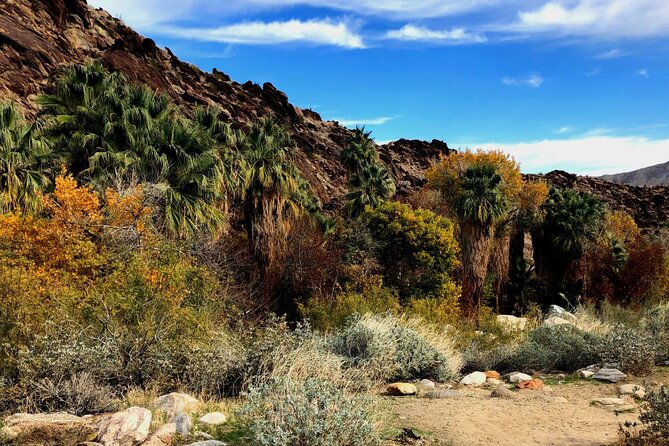 Self Guided Driving Audio Tour of Palm Springs - The Coachella Valley Preserve and its palm oases