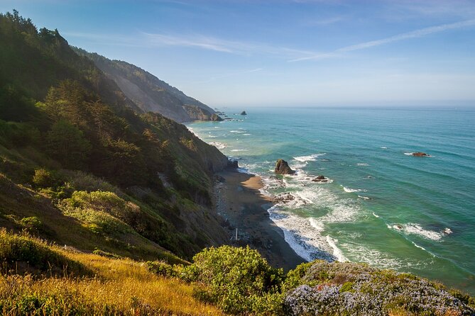 Self Guided Driving Audio Tour of Redwood National and State Park - Key points to know before you go