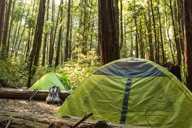 Self Guided Driving Audio Tour of Redwood National and State Park - Trillium Falls brings a short forest walk