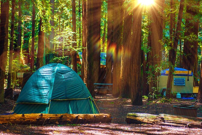 Self Guided Driving Audio Tour of Redwood National and State Park - Simpson-Reed Trail is a gentle redwood option