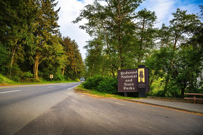 Self Guided Driving Audio Tour of Redwood National and State Park - Bald Hills Road opens up the view