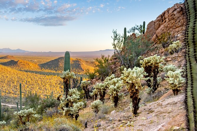 Self Guided Driving Audio Tour of Saguaro National Park - How the Audio Tour Works in the Car
