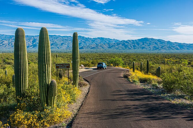 Self Guided Driving Audio Tour of Saguaro National Park - Gates Pass and the Tucson Mountain District