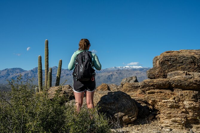 Self Guided Driving Audio Tour of Saguaro National Park - Arizona-Sonora Desert Museum as an Add-On