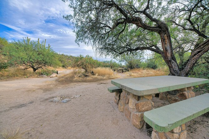 Self Guided Driving Audio Tour of Saguaro National Park - The Rincon Mountain District and Cactus Forest