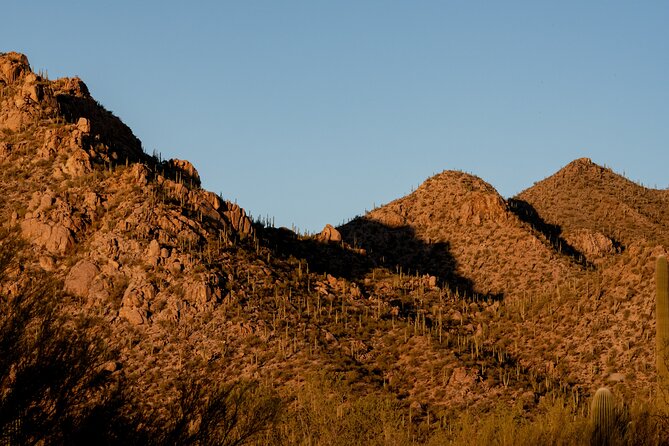Self Guided Driving Audio Tour of Saguaro National Park - Garwood Dam, Riparian Country, and Javelina Rocks