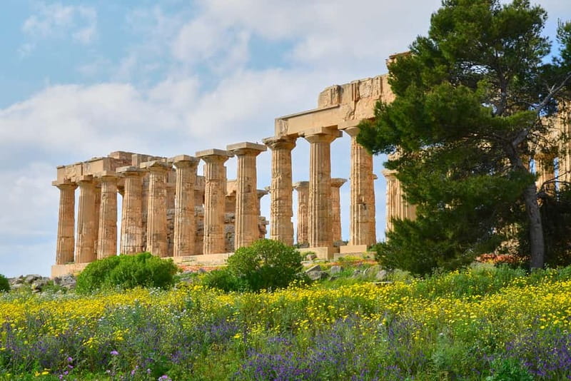 Selinunte: Archeological Park Entry Ticket & App Audioguide - The temples and Doric architecture