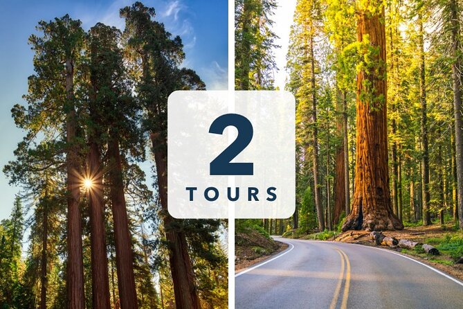 Sequoia and Kings Canyon Audio Tour Self Guide National Park Tour - How the Self-Guided Audio Tour Works