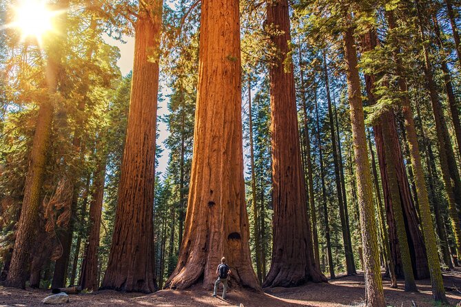 Sequoia and Kings Canyon Audio Tour Self Guide National Park Tour - Tokopah Falls and the Final Mountain Views