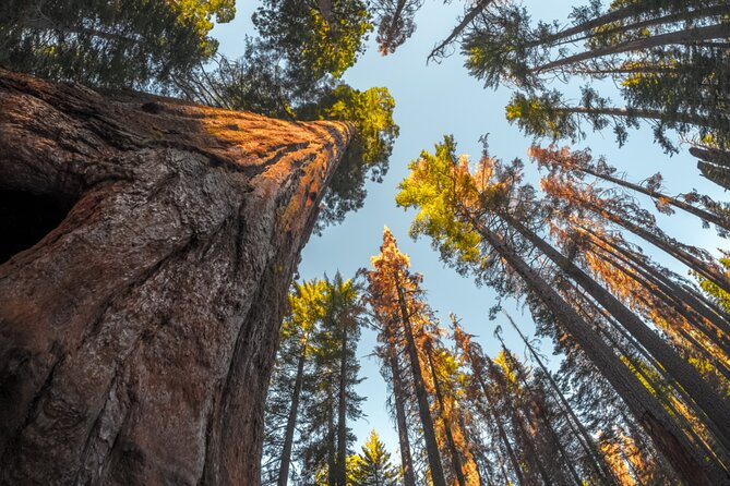 Sequoia & Kings Canyon NP Self-Guided Driving Audio Tour - Moro Rock is the route’s most memorable climb