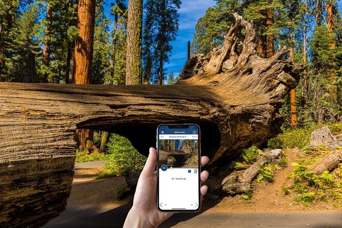 Sequoia & Kings Canyon NP Self-Guided Driving Audio Tour - Big Baldy and Redwood Canyon widen the view
