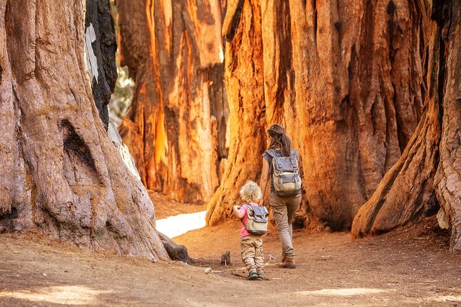 Sequoia National Park Self-Guided Audio Tour - Crescent Meadow and the General Sherman Tree