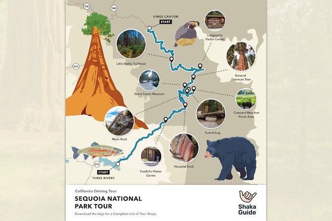 Sequoia National Park Self-Guided Audio Tour - Lodgepole, Tokopah Falls, and Wuksachi Lodge