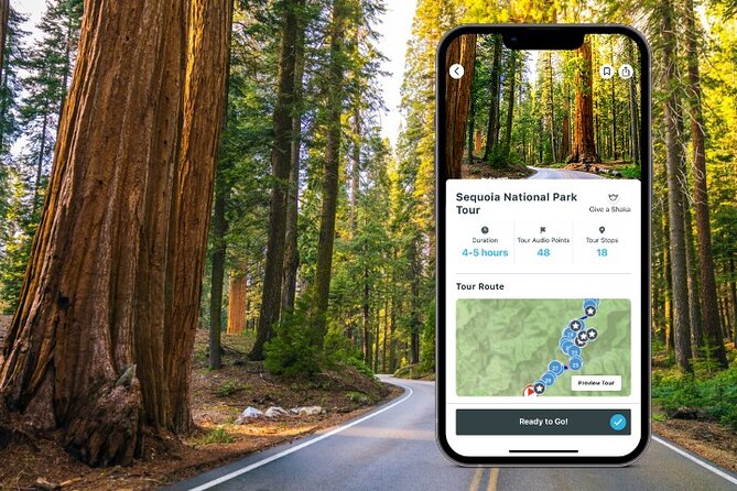 Sequoia National Park Self-Guided Audio Tour - From Indian Head River Trailhead to Hospital Rock