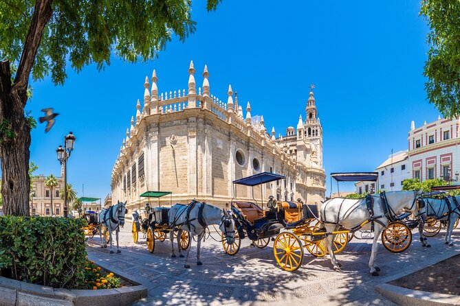 Sevilla Centre: City Walk Audioguide in 7 Languages on your Phone - Metropol Parasol and the modern city