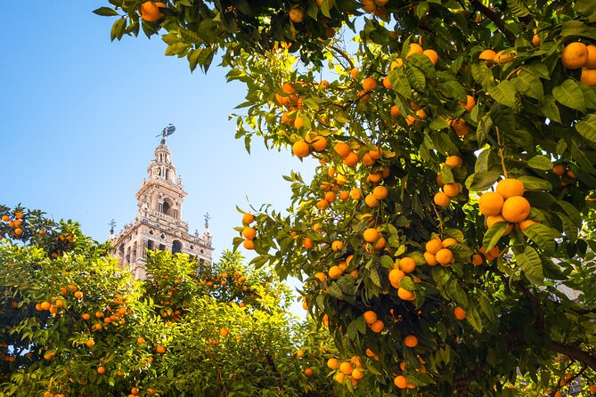 Sevilla Centre: City Walk Audioguide in 7 Languages on your Phone - Iglesia del Divino Salvador and Seville’s churches