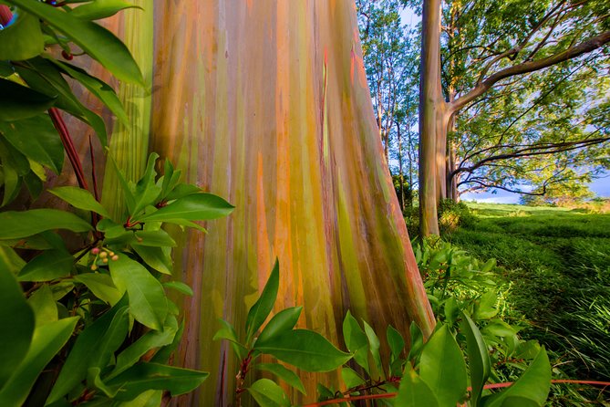 Shaka Guide Maui "Classic" Road to Hana Audio Driving Tour - Waterfalls between Wailua and Nahiku