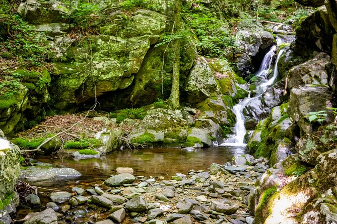 Shenandoah National Park Self-Guided Driving Audio Tour - Waterfalls, birds, and the southern drive