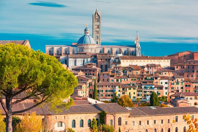 Siena Scavenger Hunt and Highlights Self Guided Audio Tour - Starting at the Duomo or the listed meeting point
