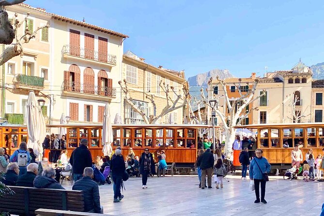 Soller’s Secret Stories: An Audio Tour by Travel Author - Olive oil, farming, and the real work behind Sóller’s food