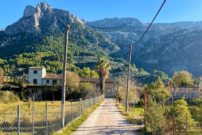 Soller’s Secret Stories: An Audio Tour by Travel Author - Pastries, museum history, and a local meal