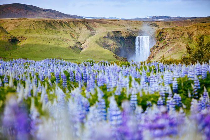 South Coast Iceland from Reykjavik with Guide & Touchscreen Audio - Sólheimajökull: An Ice Cap With a Weather Clause