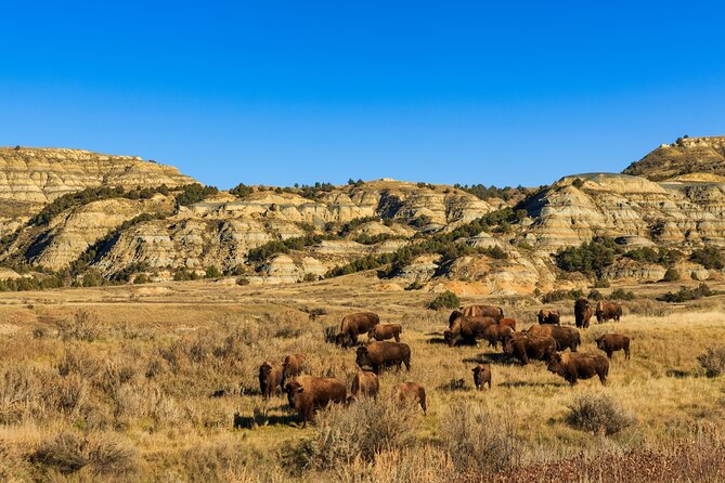 Theodore Roosevelt National Park Self-Guided Driving Audio Tour - Cannonball Concretions reveal strange geology