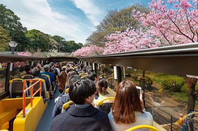 Tokyo: Open Top Sightseeing Bus with Audio Guide - What the 70-minute format does well