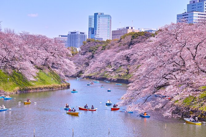Tokyo Self-Guided Audio Tour - What this Tokyo audio tour really offers