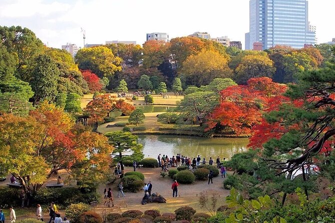 Tokyo Self-Guided Audio Tour - Price, access, and the practical value