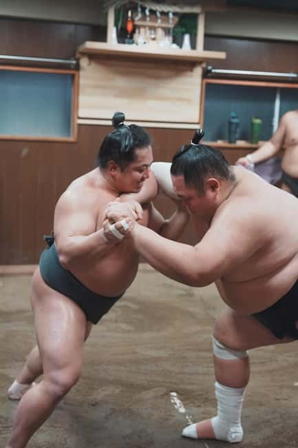 Tokyo: Sumo Keiko Training Tour with Audio Guide & Photo - The audio guide and live explanations