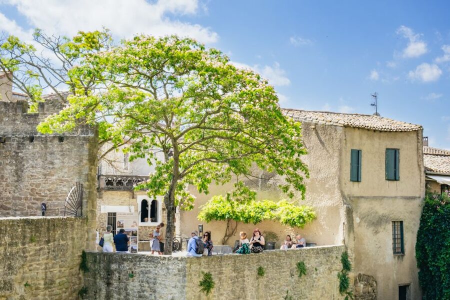 Toulouse: Carcassonne Day Trip by Coach with Audioguide - Food, heat, and the best season to go