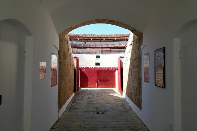 Tour of Malaga Bullring & Bullfighting Museum with Audioguide - La Malagueta gives you more than a view from the seats