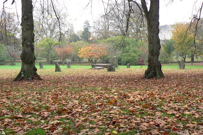 Tudor Cardiff: A Self-Guided Audio Tour - Walking into Bute Park
