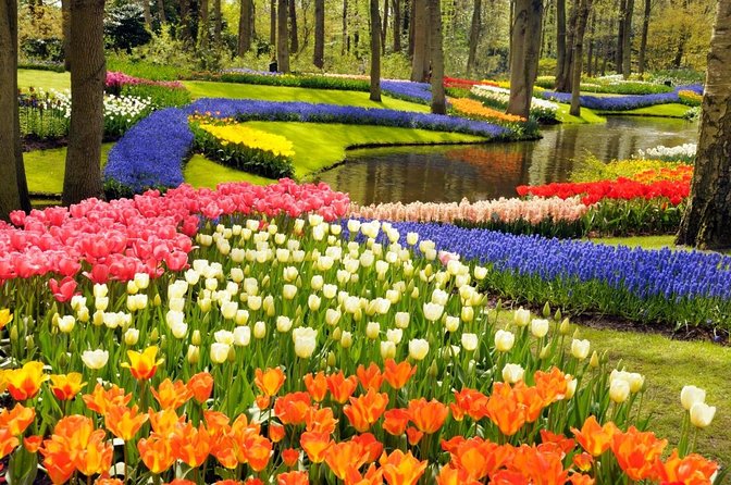 Tulip Fields near Keukenhof - Self-Drive Audio Tour for 2 People - The quick facts that matter most