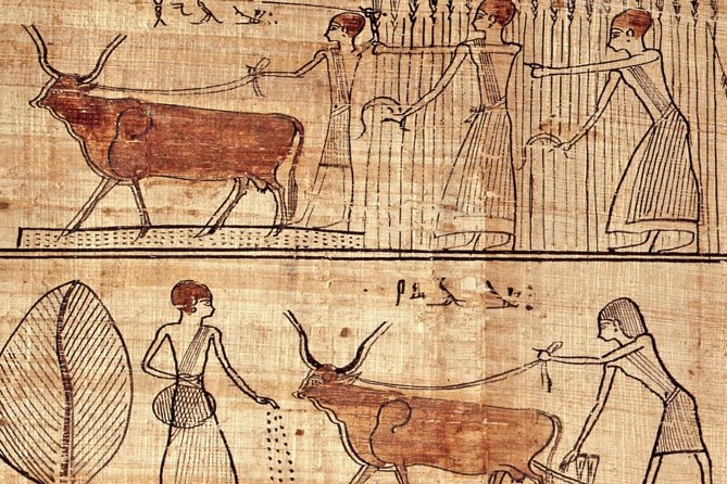 Turin Egyptian Museum Entry Ticket plus Turin Digital Audioguide - Pharaohs, Queens, and the World of Tombs