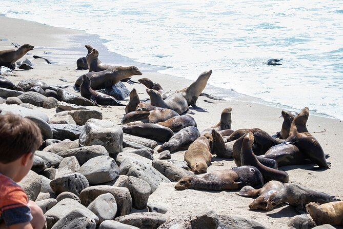 Ultimate La Jolla Self-Guided Driving & Walking Audio Tour Bundle - Ellen Browning Scripps Park and Seal Rock