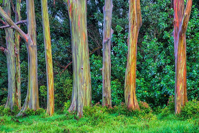 Ultimate Self-Driving Audio Tour of Road to Hana, Maui - Pua’a Ka’a, Nahiku, and the road’s quieter pauses