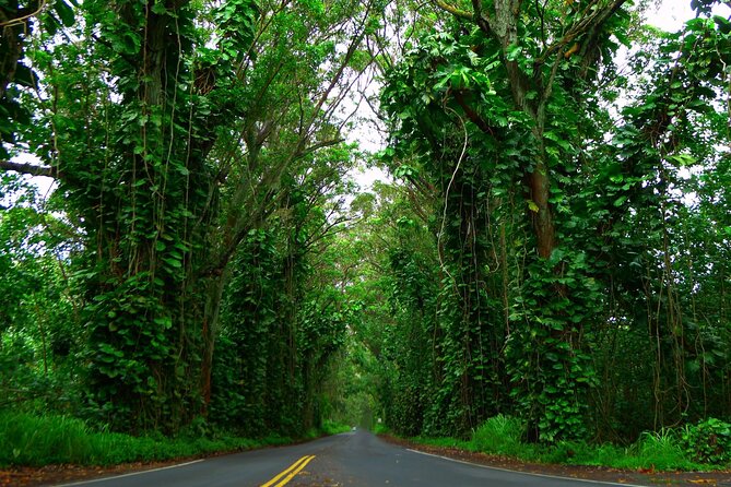 Ultimate Self-Guided Audio Driving Tour of Kauai (Na Pali, Waimea), Hawaii - Poipu Beach and the south shore pause