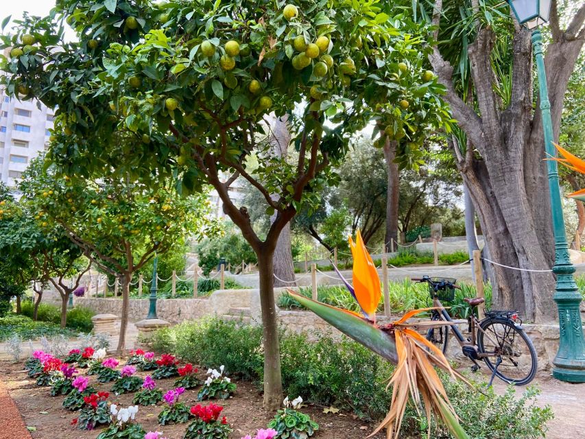 Valencia: 2-in-1 Biking and Walking Audio-Guided Route - Using the app without losing your patience