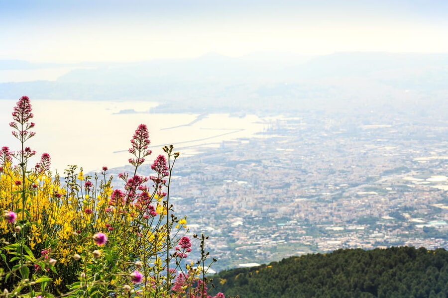Vesuvio Skip The Line Ticket With Digital Audioguide - Reaching Vesuvius without included transport