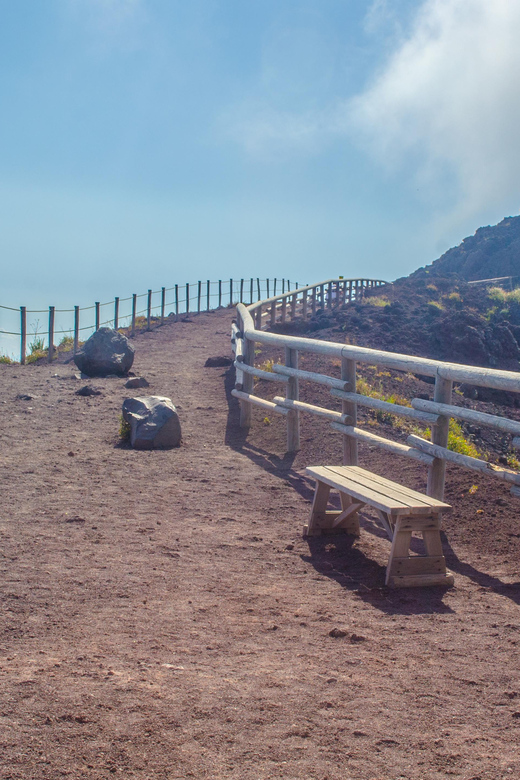 Vesuvio Skip The Line Ticket With Digital Audioguide - Who should book this Vesuvius ticket?