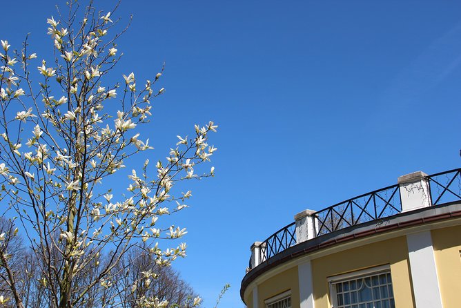 Walk Malmö with an audio guide - What this Malmö walk is really like