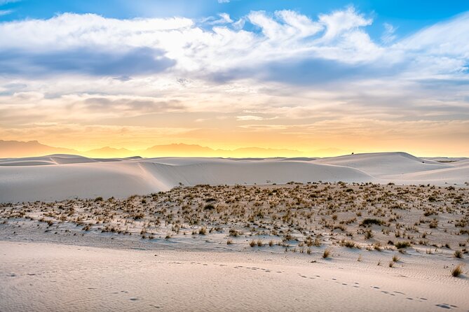 White Sands National Park Self-Guided Audio Tour - Interdune Boardwalk: the easiest way to see the dunes