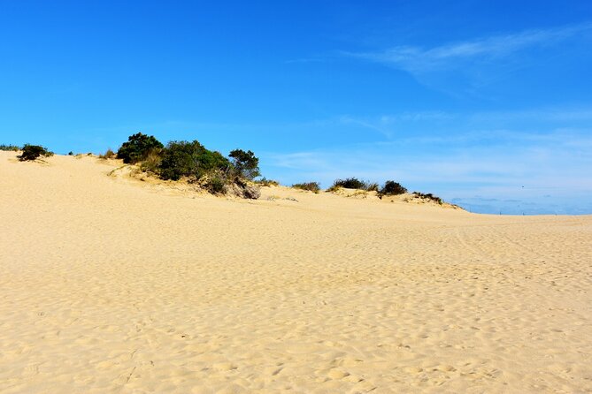 Wright Brothers Carolina Dunes Self-Guided Driving Audio Tour - Pine Island and the cost of old hunting habits