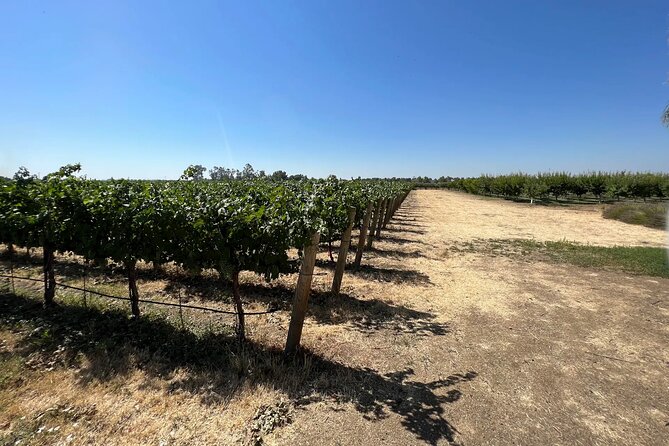 Yolo County Explorer: Culinary & Cultural Audio Tour - Five things to know before you go
