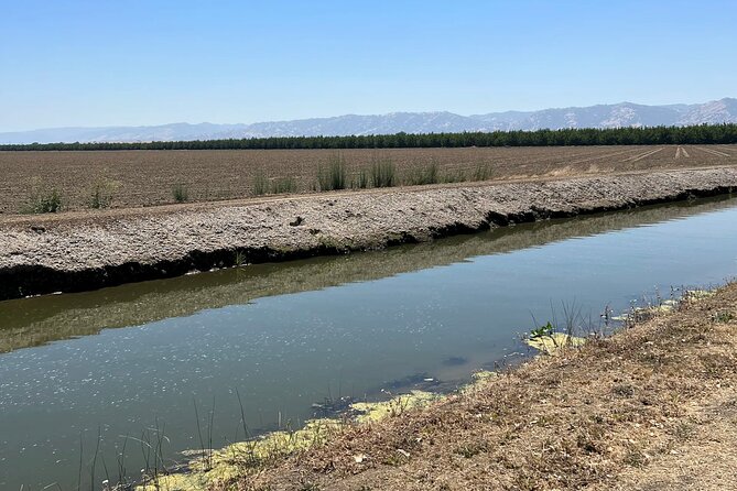 Yolo County Explorer: Culinary & Cultural Audio Tour - Park Winters offers a quiet rural pause