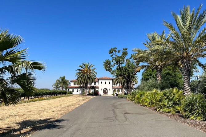 Yolo County Explorer: Culinary & Cultural Audio Tour - Three wineries give the route a clear focus