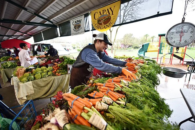 Yolo County Explorer: Culinary & Cultural Audio Tour - Davis Farmers Market sets the tone
